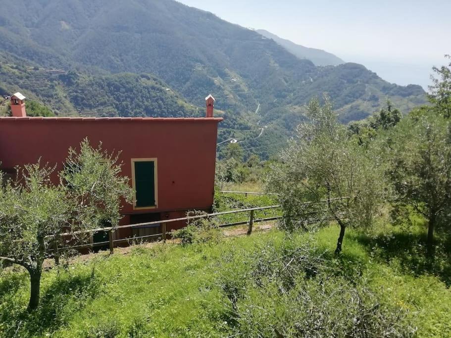 Quiet And Cozy Home With Wi-Fi Casa Prearino 韦尔纳扎 外观 照片